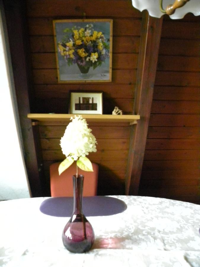 Ferienhaus Sommerland Auszeithuette フライウング エクステリア 写真